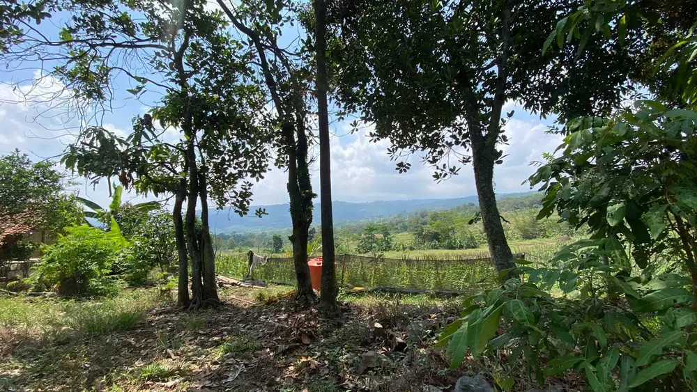 Dijual Murah Tanah Akses Mobil Pemandangan Bagus di Bojong Purwakarta
