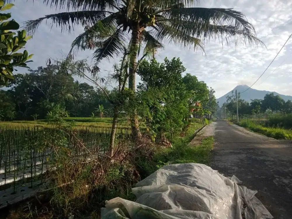 Tanah Murah Pakem Pakemgede