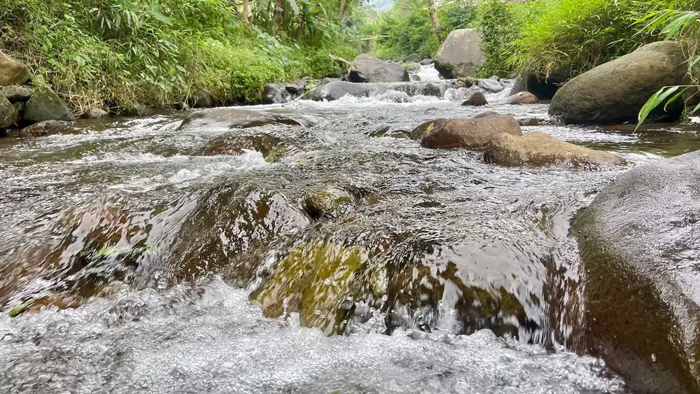 Tanah Sawah 1000 mdpl di bawah kaki gunung 3709 m2