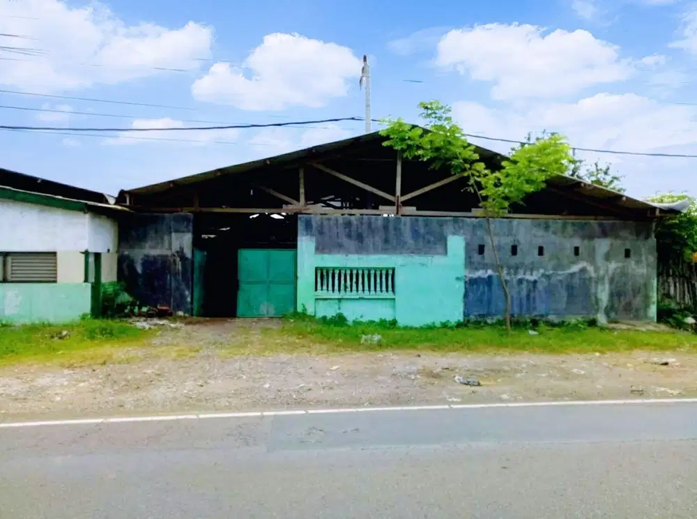 Dijual Rumah Benur dipantai Besuki