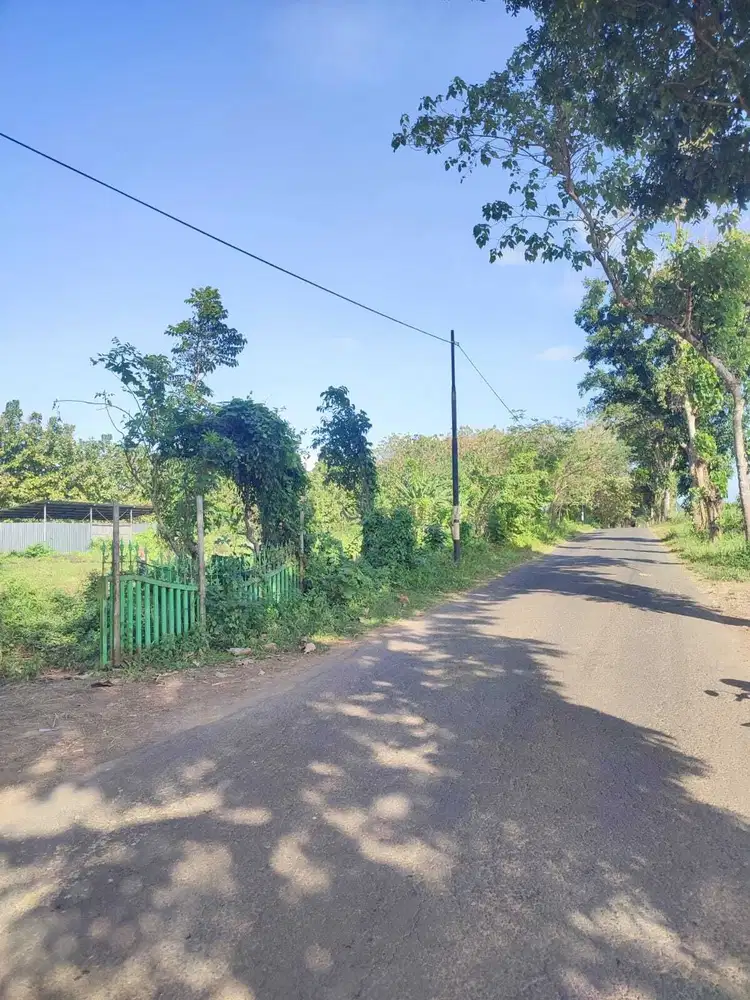 Dijual tanah Exs Kandang Ayam di Bondowoso