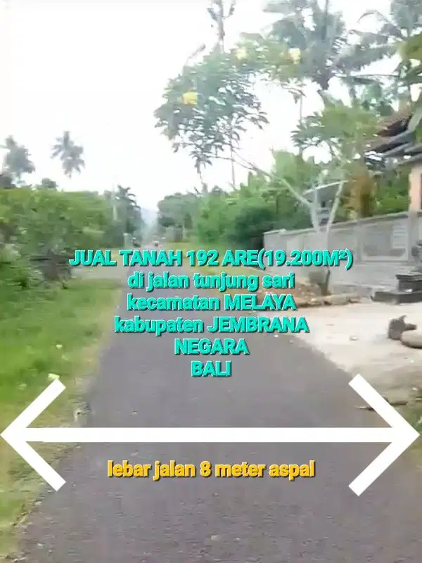 BUC, Jual TANAH MURAH dkt pantai MELAYA JEMBRANA NEGARA BALI, jalan RAYA DPS GILIMANUK masuk 350 mtr