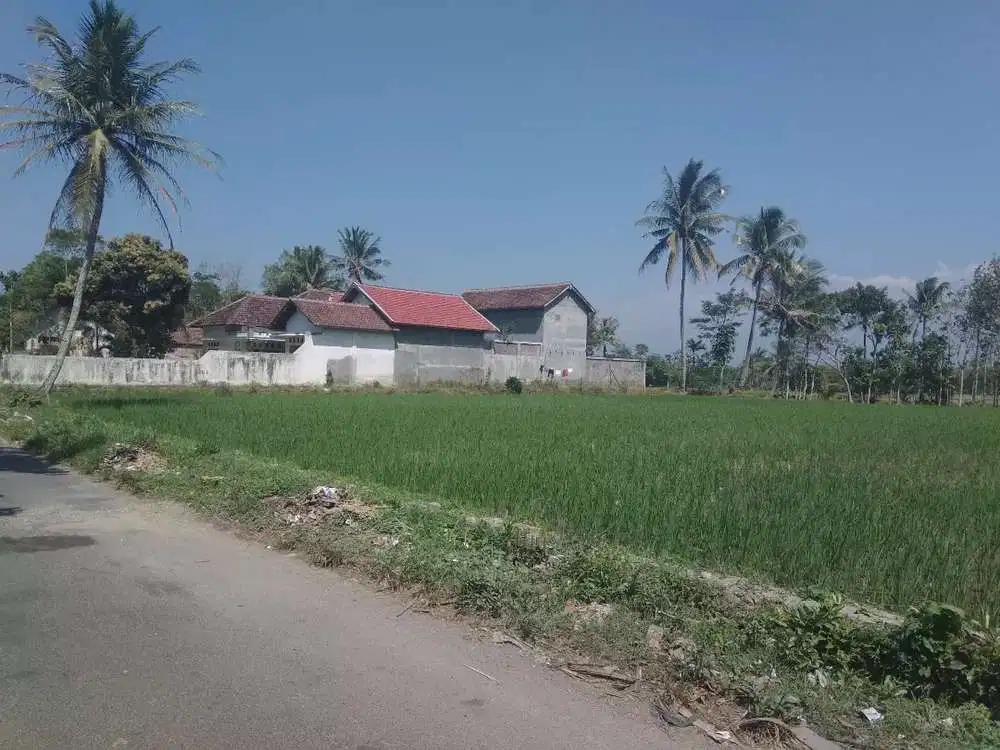 Dijual Rumah + Sarang burung Walet di Jawa Timur