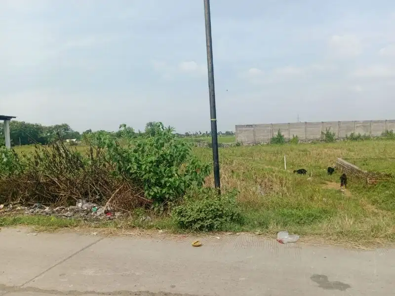 Di Jual Tanah Darat Cikarang