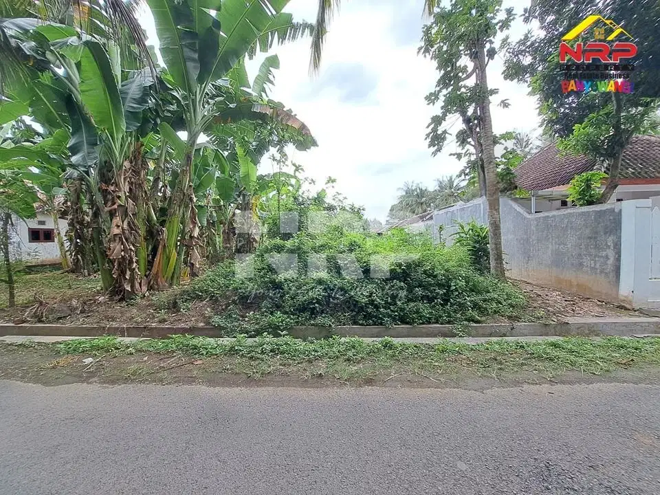 Tanah pinggir jalan Banyuwangi Dadapan Kabat Dijual
