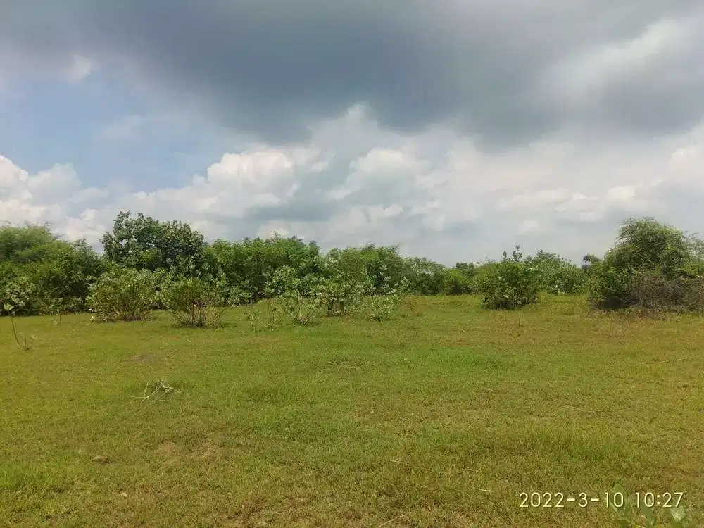 Tanah 1ha  dijual di Arjasa Situbondo