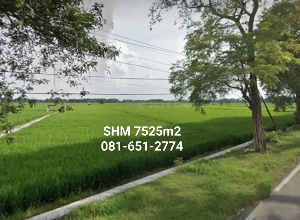 Tanah di Lengkong Nganjuk