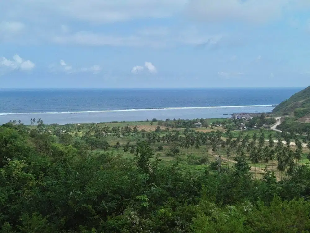 Tanah murah dekat pantai Torok Lombok. Cocok untuk villa