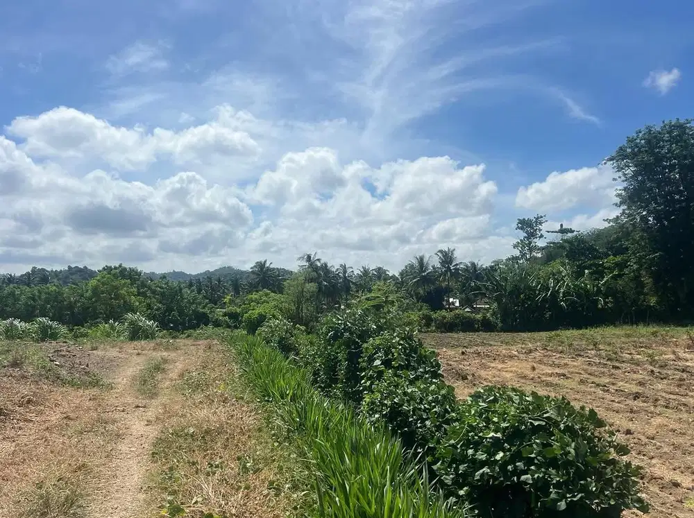 Tanah murah dekat pantai Selong belanak lombok. Cocok untuk villa