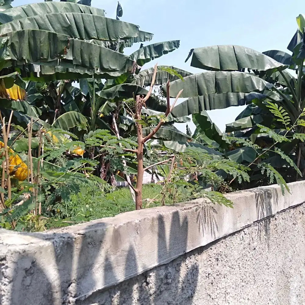 Dijual tanah darat 600mt area pergudangan/Bekasi Timur mustika jaya