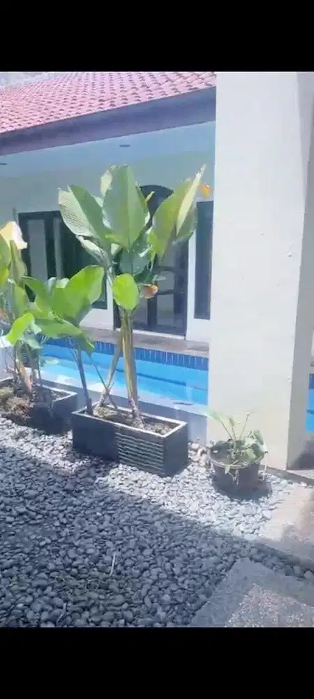 Disewakan Rumah Besar di Cilandak