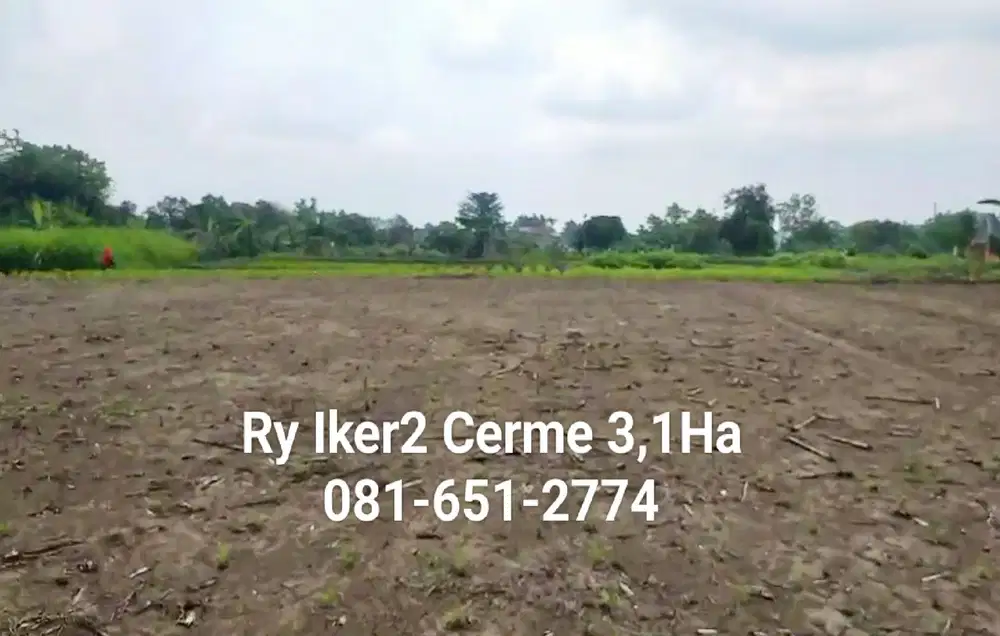 Tanah di Gresik Cerme
