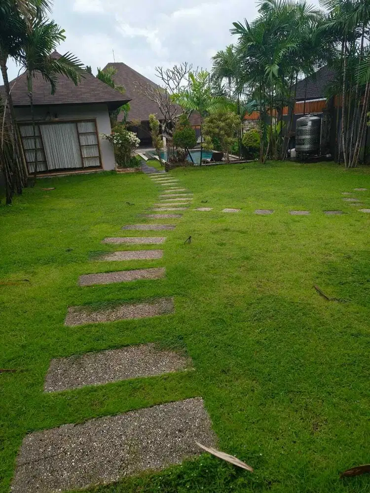 FOR RENT VILLA 3BR FURNIHED BIG GARDEN  BIG POOL LOCATION UMALAS