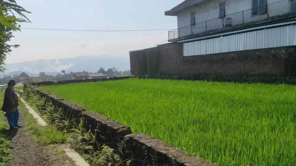 TANAH DEPAN TEMPAT WISATA PARI BENDO LAWANG MALANG