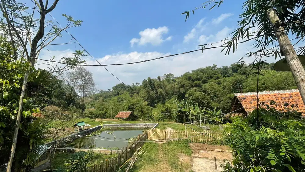Tanah Pinggir Sungai + Peternakan Kambing dan Unggas Dekat Gerbang Tol