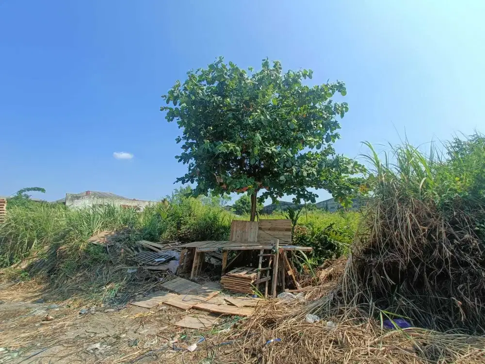 Tanah Terboyo Park Semarang – 10558