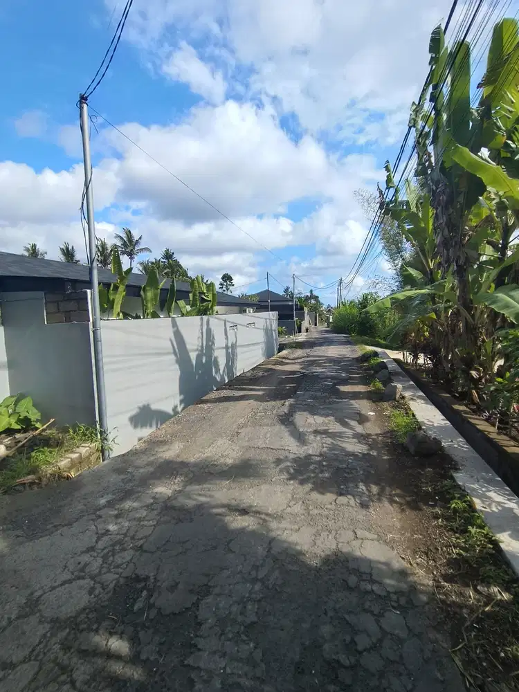 Premium Land Ubud Petulu_Tirtatawar