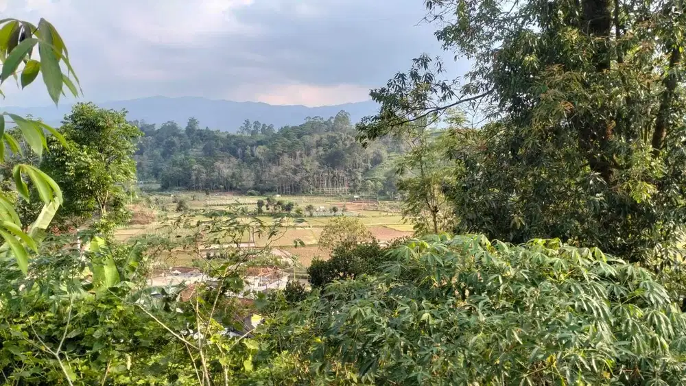 Dijual Tanah  Padat di Hook  Cocok Untuk Villa View Bagus Ciwidey