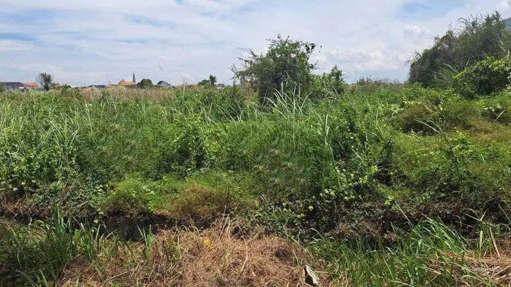 Tanah Industri Maspion Manyar Gresik Murah Strategis Lebar 55 x124 HGB