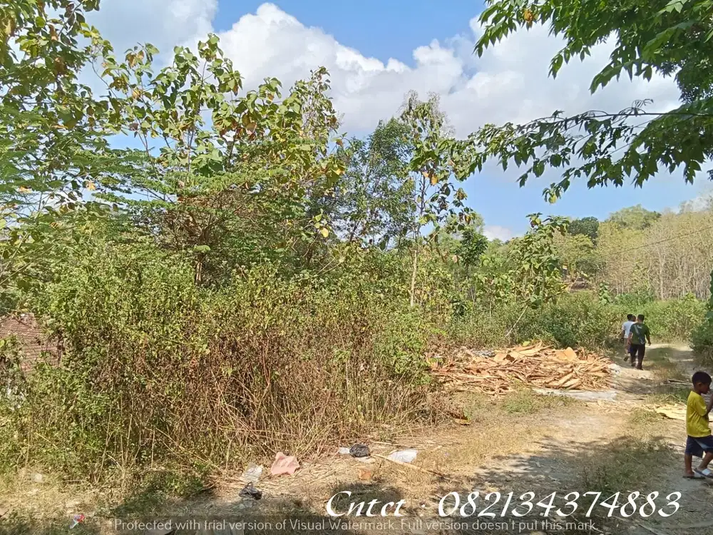 Dijual tanah Luas dekat bakal kampus UIN Bantul Yogyakarta, LT 5700m2