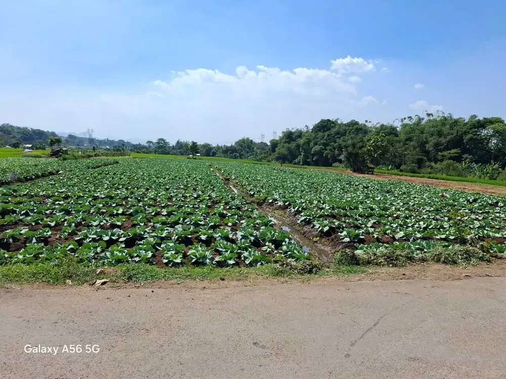 JUAL CEPAT TANAH MURAH BANJARAN BANDUNG SELATAN