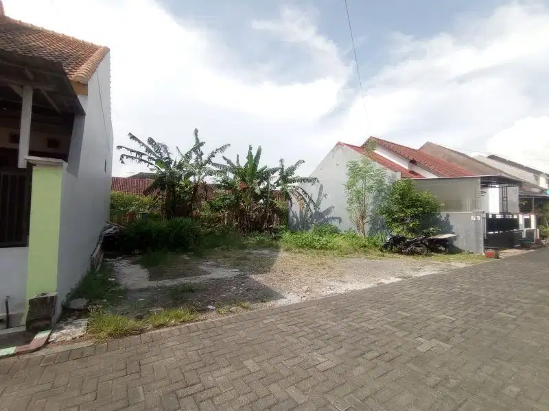 Tanah Murah Lebar 14 di Blimbing dekat Araya Ahmad Yani Borobudur