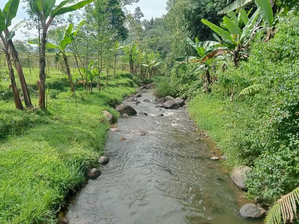 Dijual Tanah Cocok untuk PERTANIAN, PERTERNAKAN Ciwidey Bandung