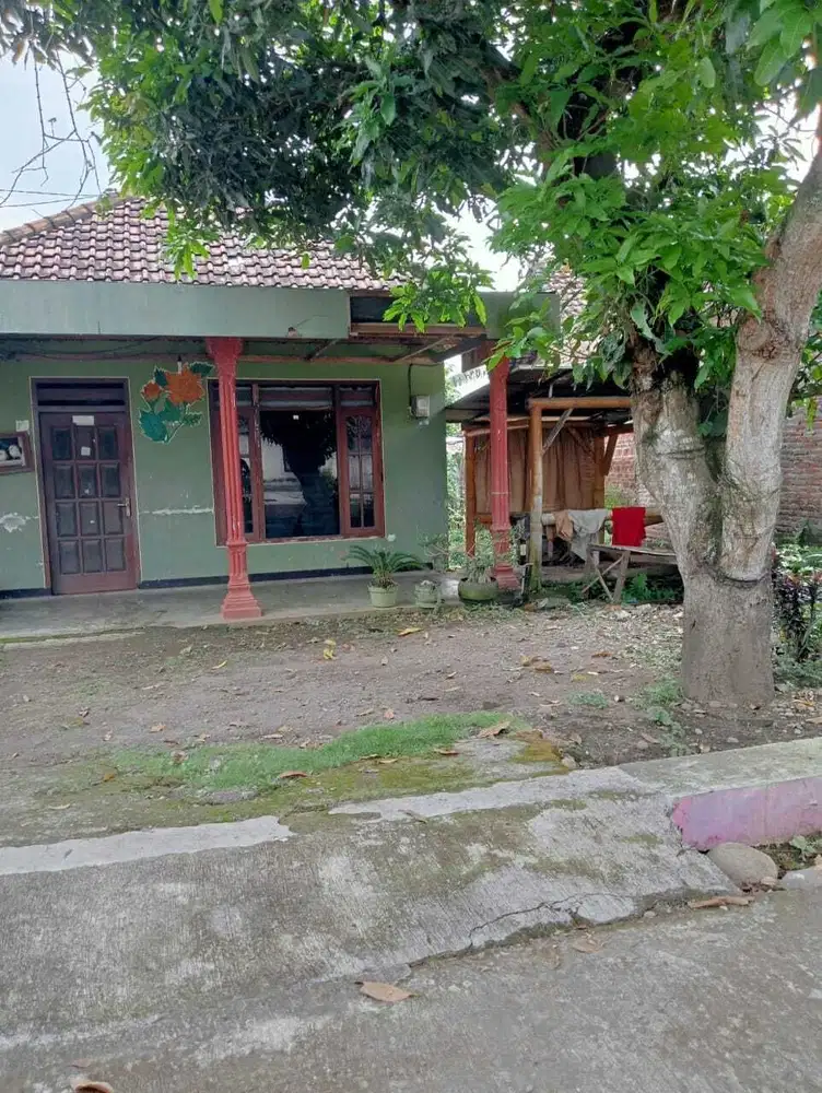 Jual rumah murah di ngampungan bareng Jombang 60 meter ke jlnkabupaten