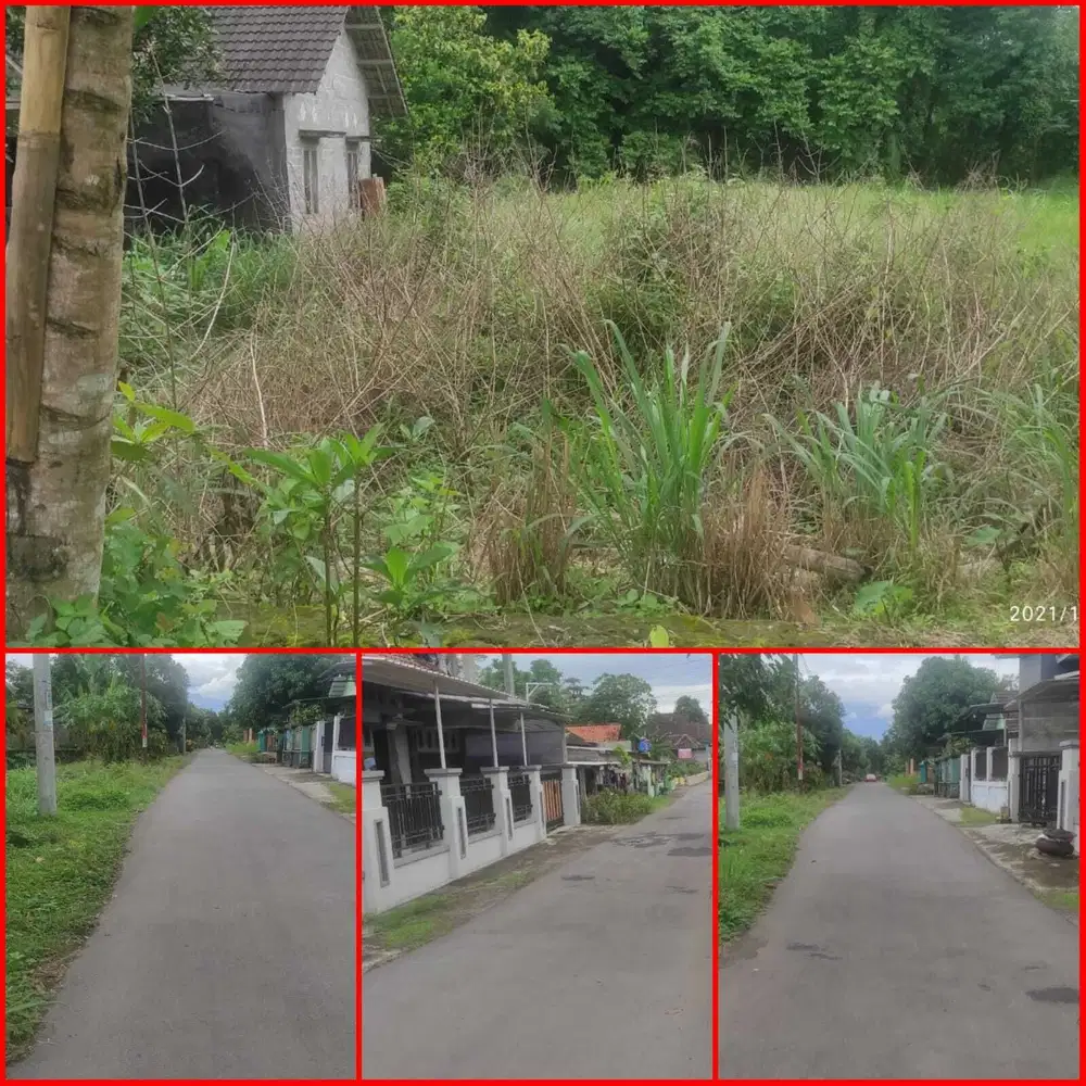 Tanah sangat nyaman dan asri tirtomartani kalasan