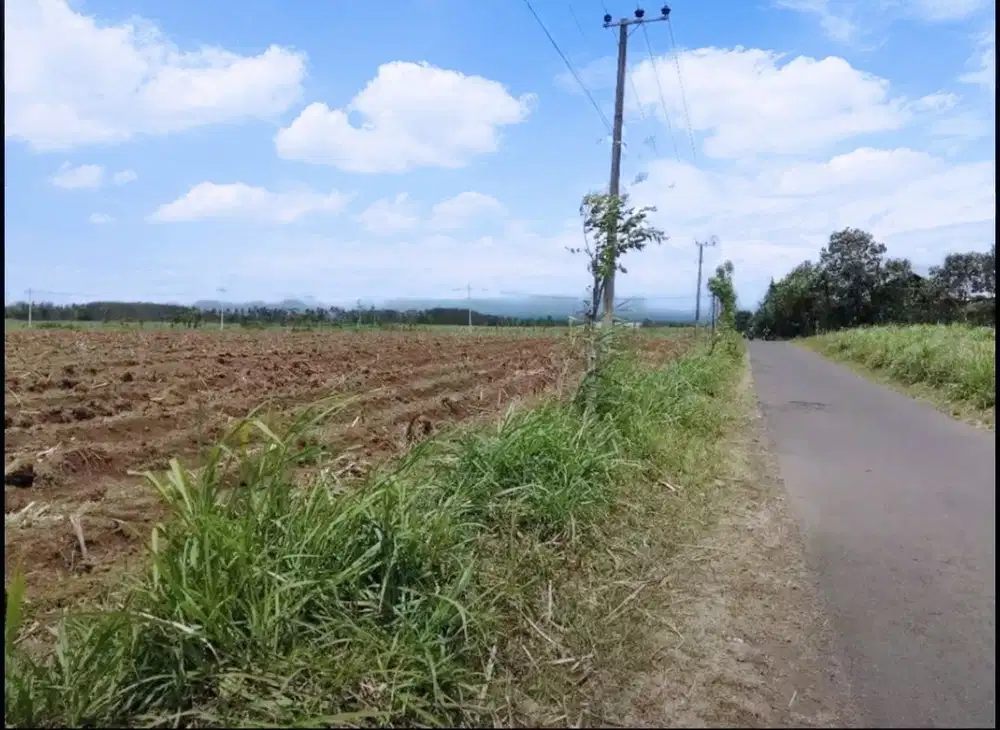 Dijual tanah di Tamanan Bondowoso