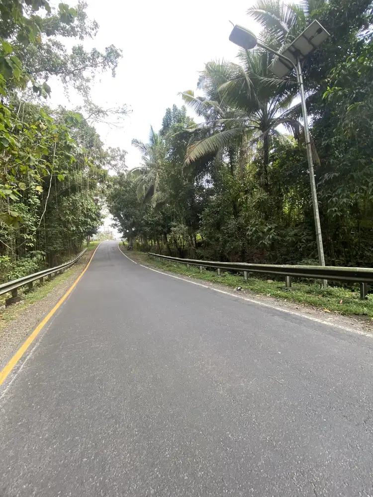 Jual tanah industri jalan utama Denpasar Gilimanuk tabanan