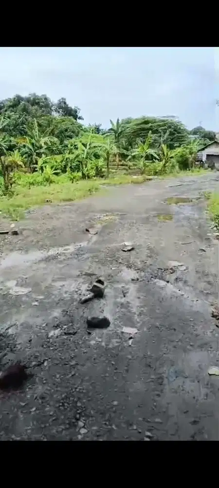 Dijual tanah di jalan utama/komersil jalan utama Serang Baru Cikarang