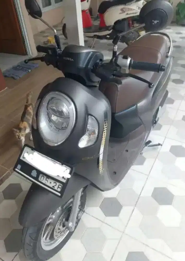 Scoopy Stylish 2023