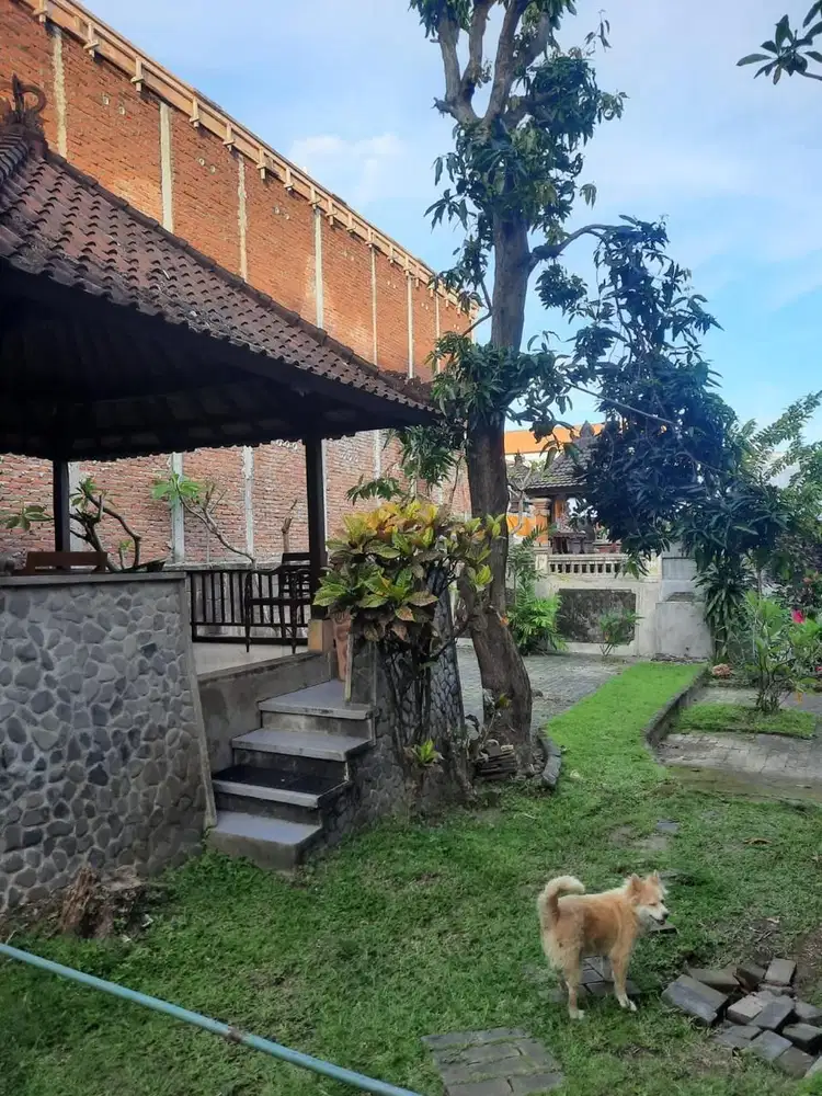Dijual tanah kosong 27are di renon denpasar bali