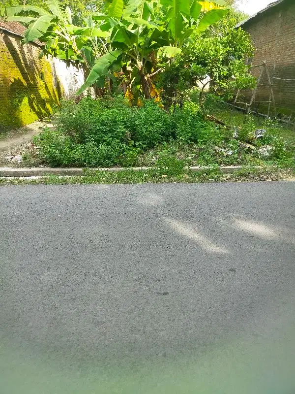 Jual murah tanah di ngoro  harga di bawah pasar bagus untuk usaha