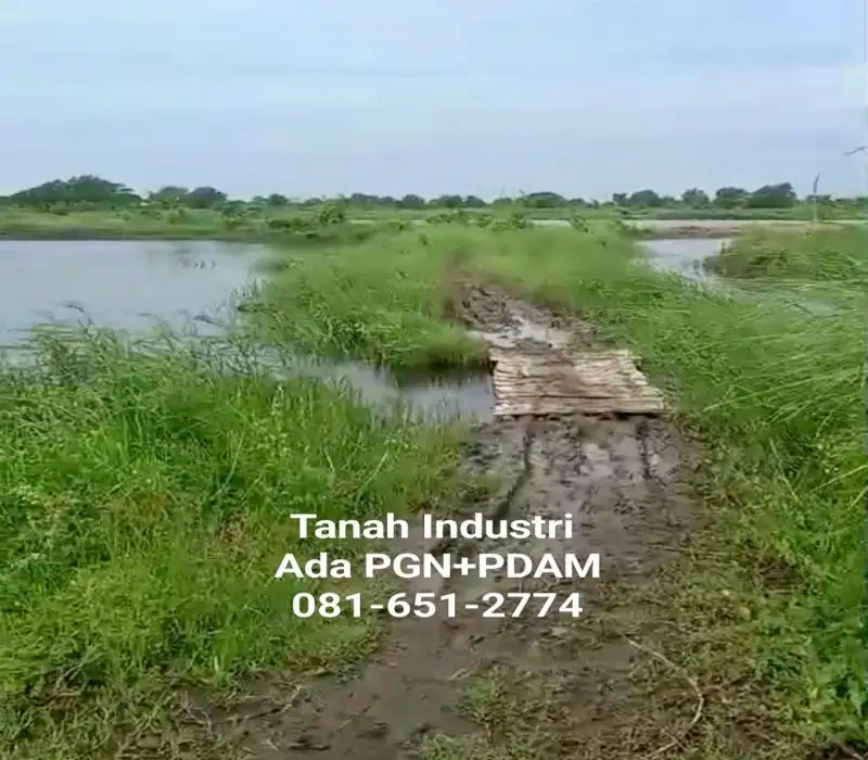 Tanah Industri Jabon Sidoarjo