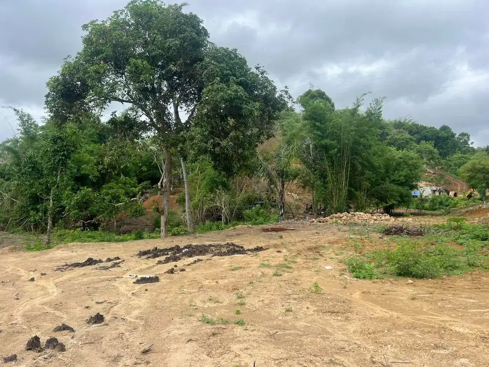 Tanah murah dekat central Kuta Mandalika Lombok. Cocok untuk villa