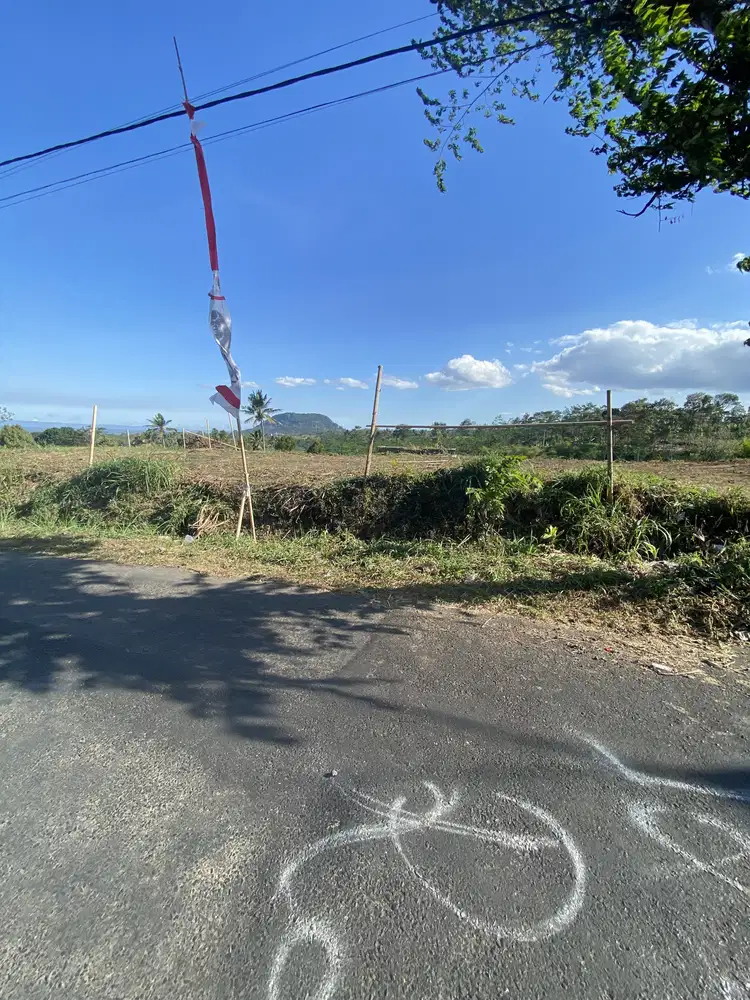 Tanah murah poros wagir luas 2,5 ha bisa 10 menit ke kota malang