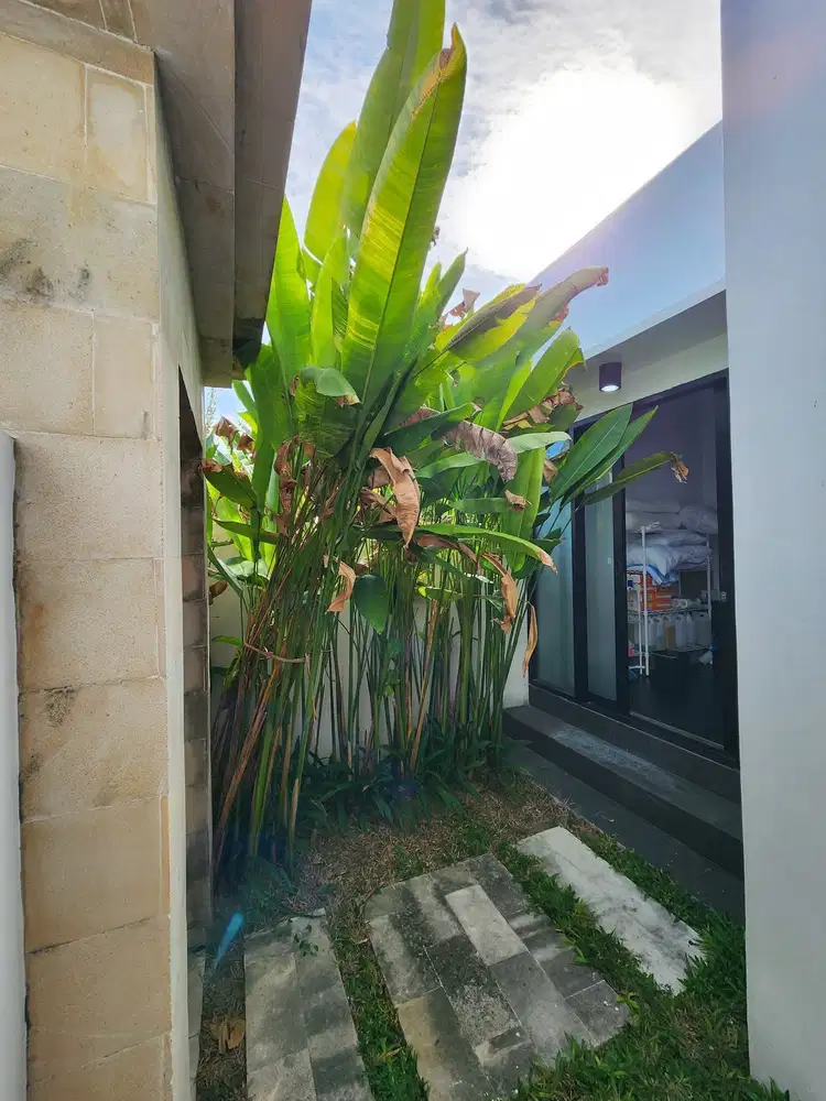 VILLA READY GOOD INVESTMEN LOKASI STARTEGIS ULUWATU - Thumbnail 8