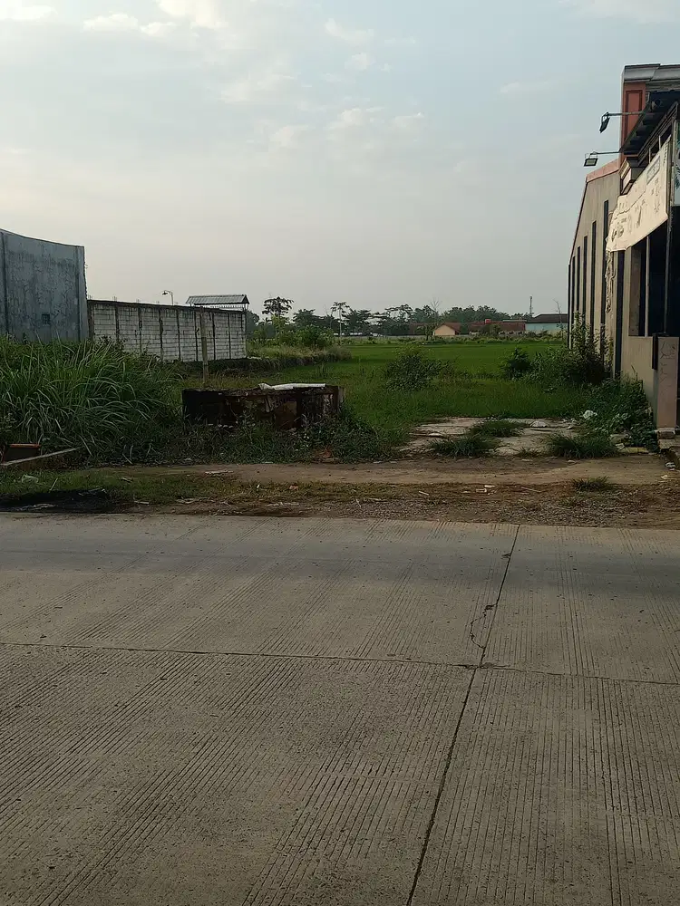 Tanah emas pusat ekonomi kota Kesesi