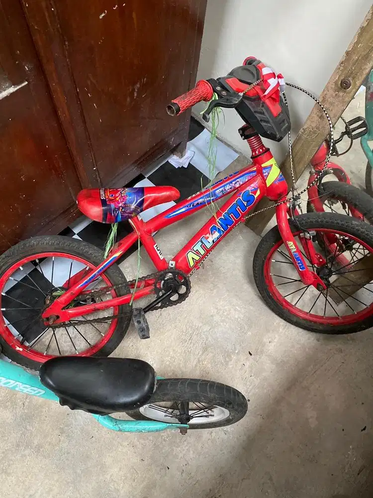 Sepeda anak dan pushbike