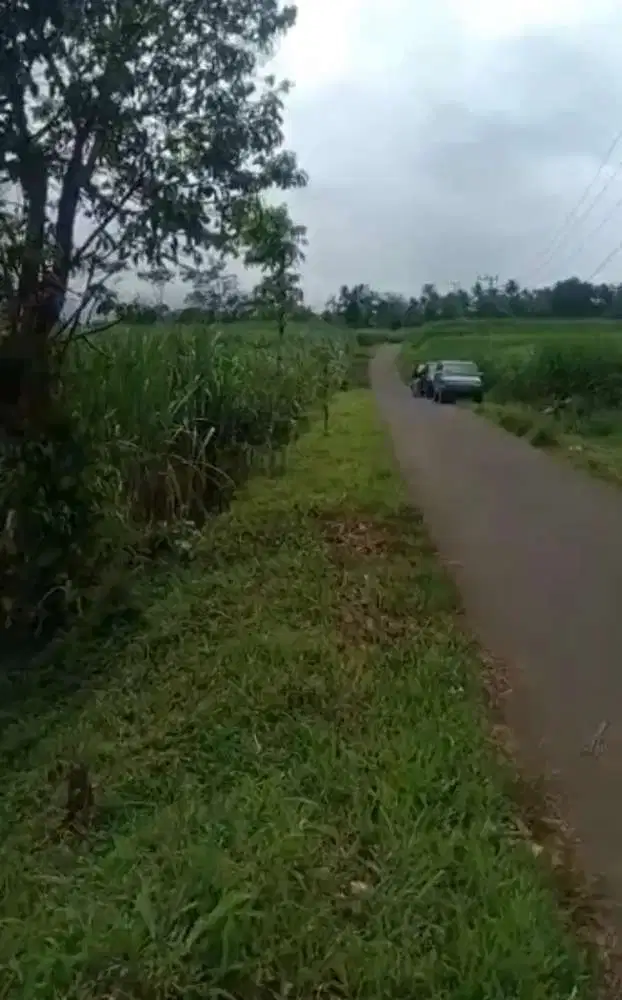 Tanah Ngajum Umbulan Tanah subur Kaya Mata Air