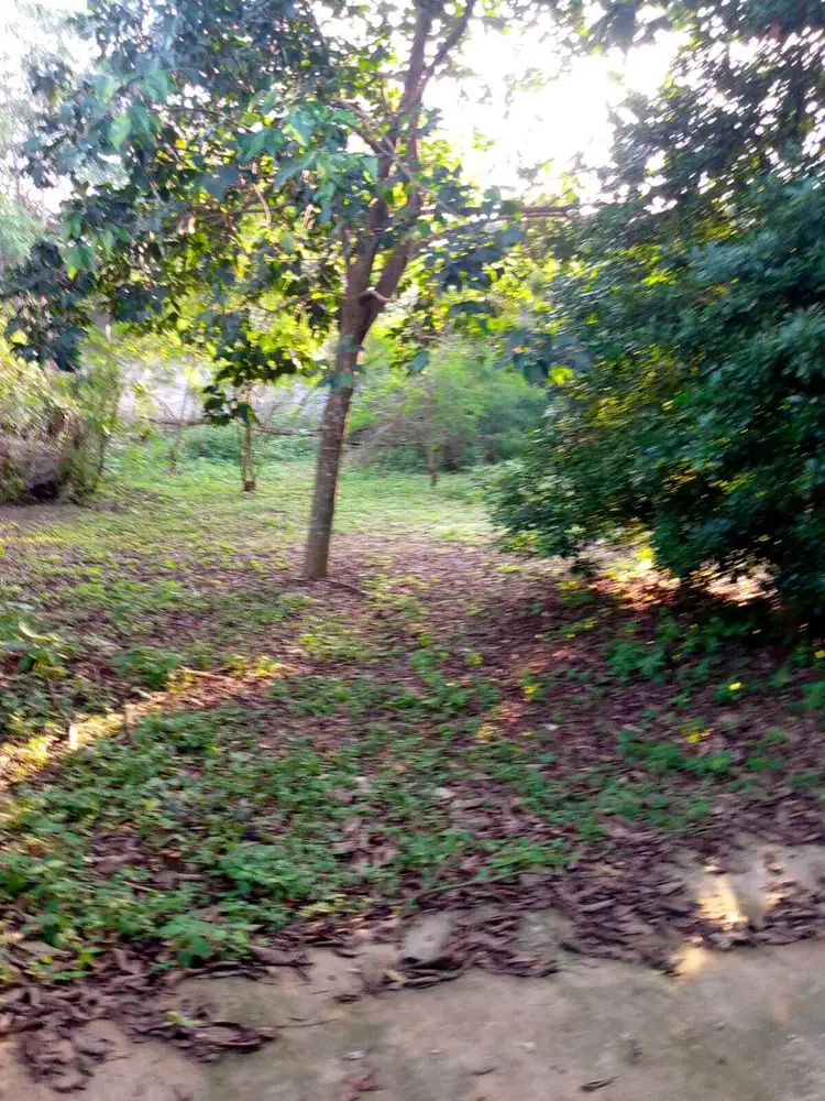 Dijual tanah darat 5000 meter di jalan MTharyono akses tol brangkeng