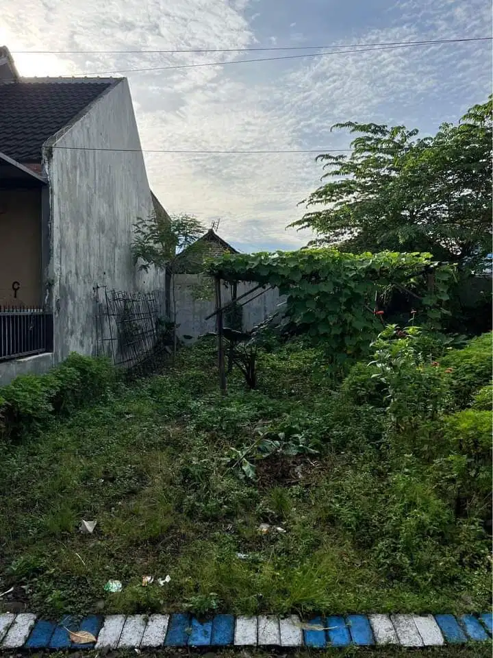 Tanah kos ikan piranha akses mobil dkt sekolah waing blimbing suhat