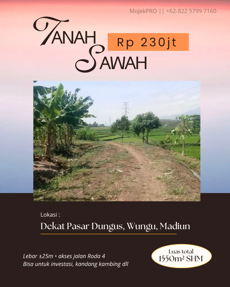 Tanah Sawah Dekat Pasar Dungus Bisa untuk Kandang Kambing