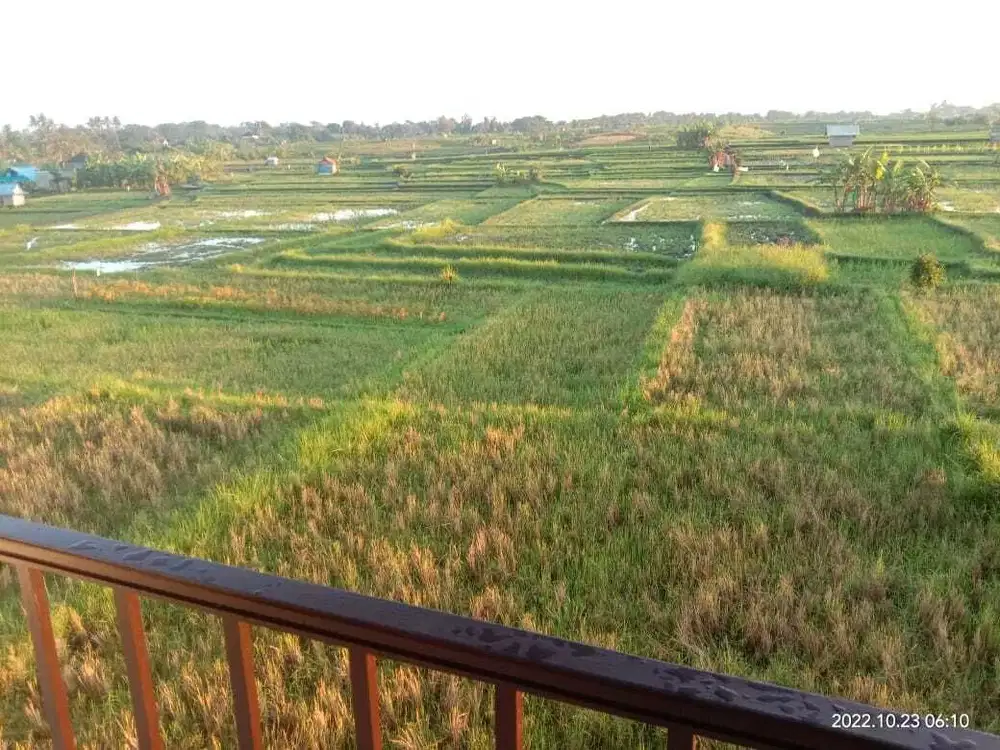 Dijual Rumah di Cepaka, Tabanan – Nyaman & Asri