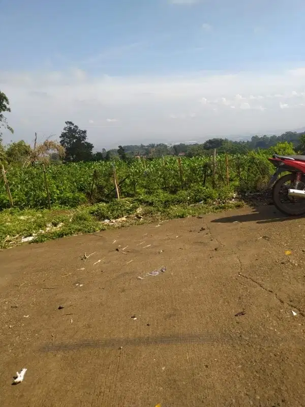 JUAL CEPAT TANAH MURAH CIMAUNG GUNUNG PUNTANG