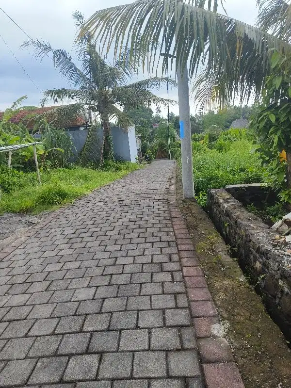 Di jual tanah lodtunduh ubud los sungai