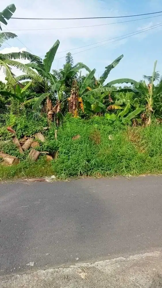 Di Jual Tanah pinggir jalan View sawah dan gunung Singapadu