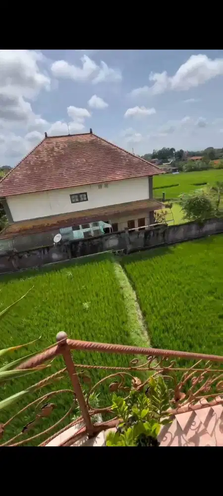 Rumah Pejeng cocok Untuk Guehouse dekat maya Resort